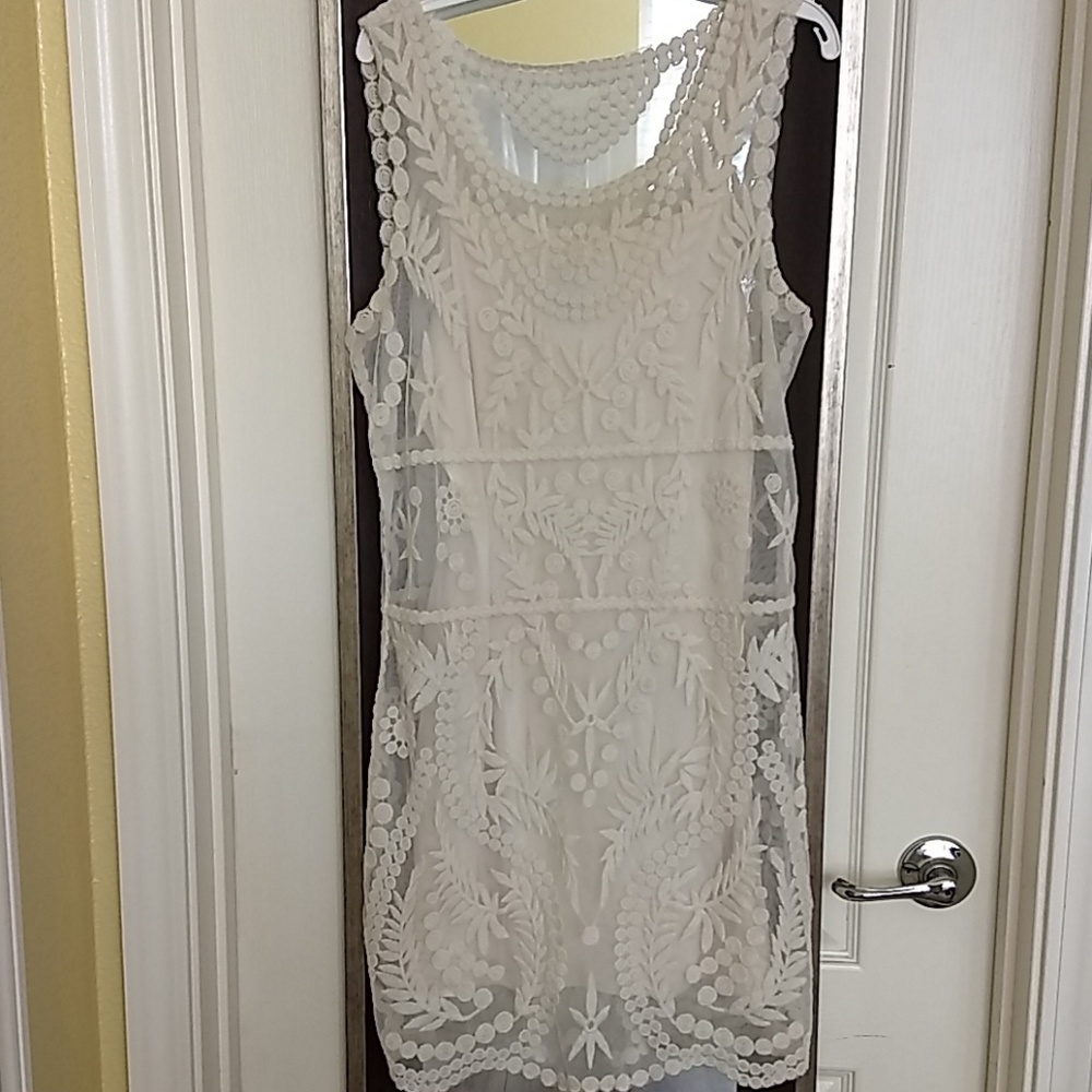 Express lace overlay dress